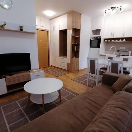 Appartamento Milnik *